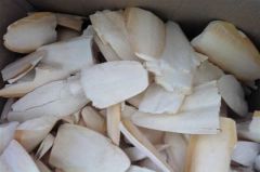Kırık Kalamar Kemiği 1kg