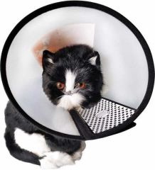 Kedi şişme Boyunluk (elizabet)
