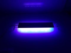 WM-Deniz Marine  Led Lamba 20 cm
