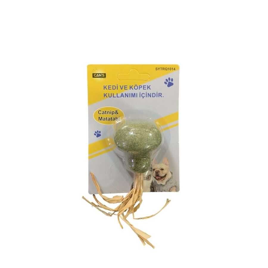 Cans SYTRQ1014 Catnip Matatabi Mantar 5  cm
