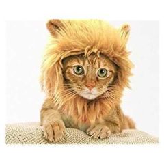 Kedi Aslan Yelesi Peruk