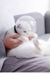 Lavimo Kedi Kafa Koruyucu