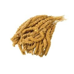 Sarı Dal Darı 1kg